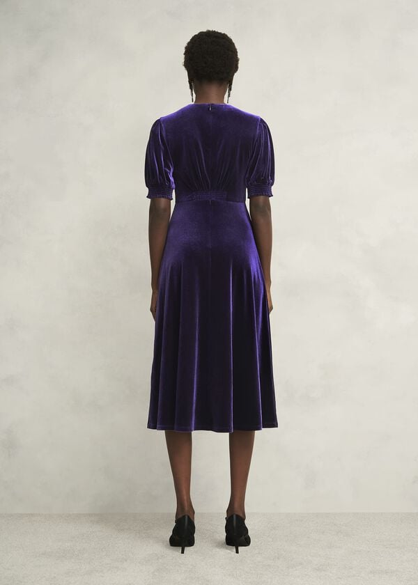 Hobbs Dormer Velvet Dress Midnight Purple