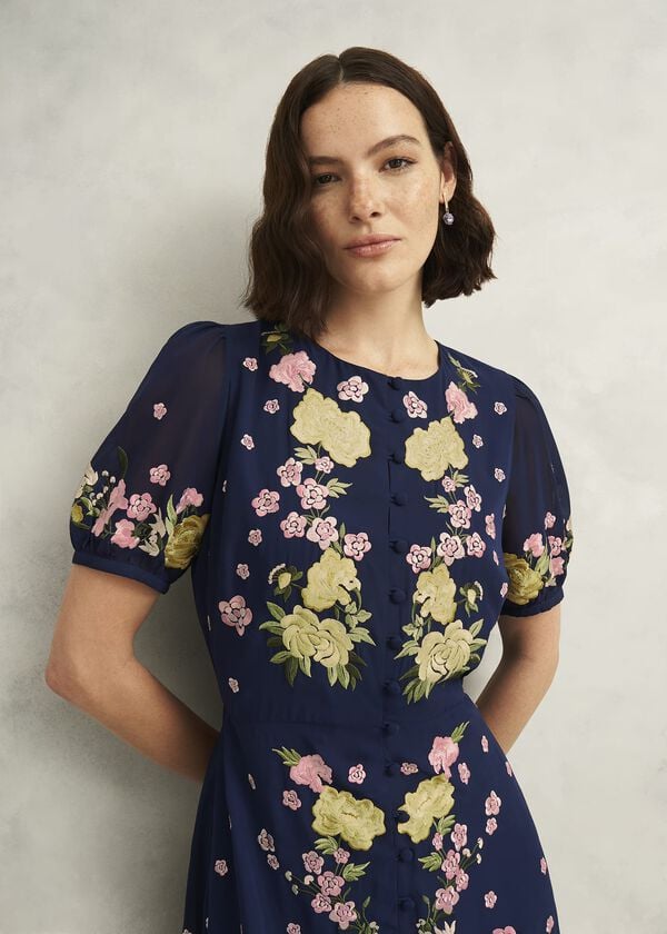 Hobbs Elva Embroidered Dress Midnight Multi