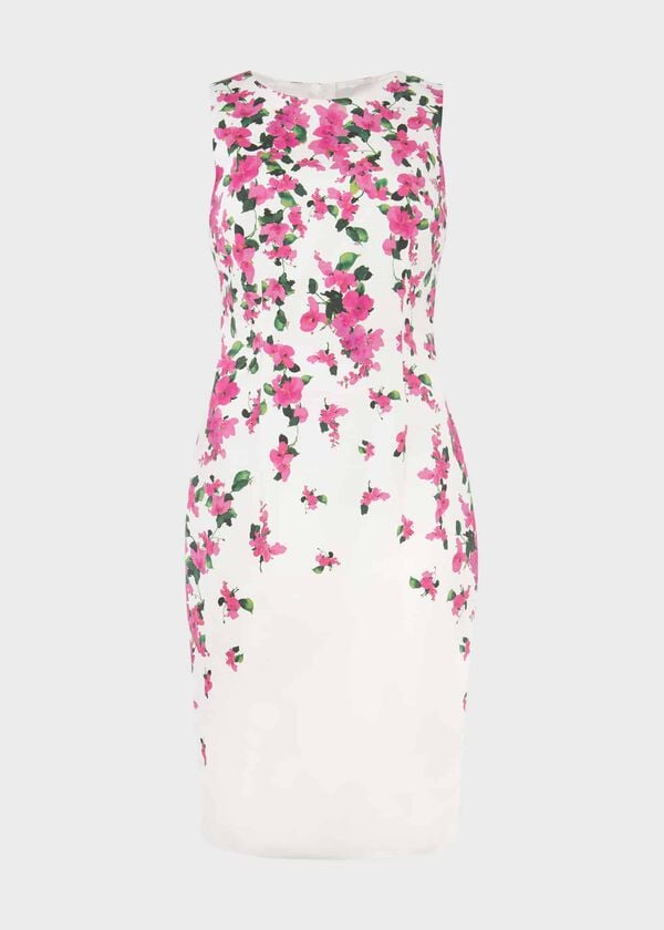 Hobbs Fiona Cotton Blend Shift Dress Ivory Fuchsia