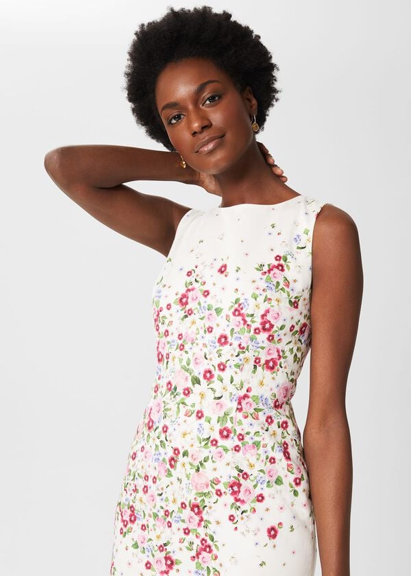 Hobbs Fiona Dress Ivory Multi