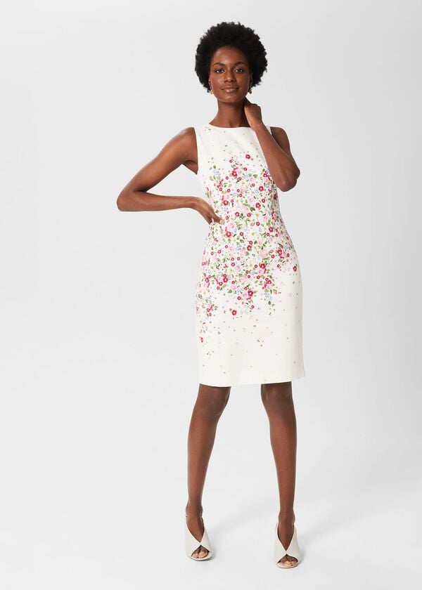 hobbs Fiona Dress Ivory Multi