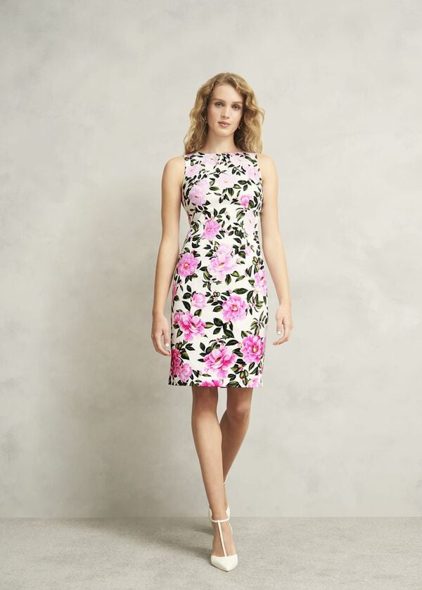 hobbs Fiona Dress Ivory Multi