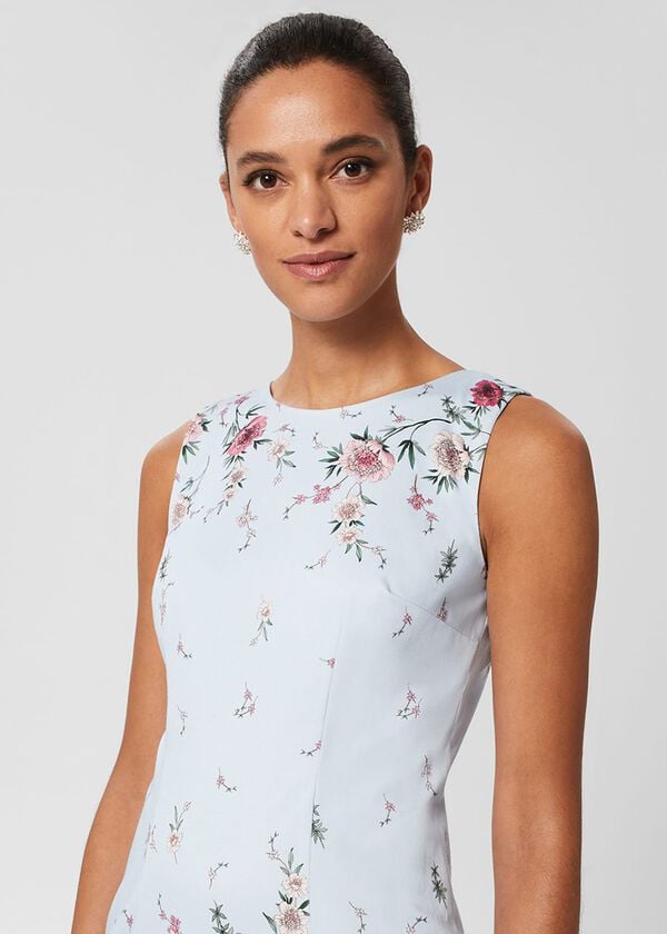 Hobbs Fiona Floral Shift Dress Pale Blue Multi