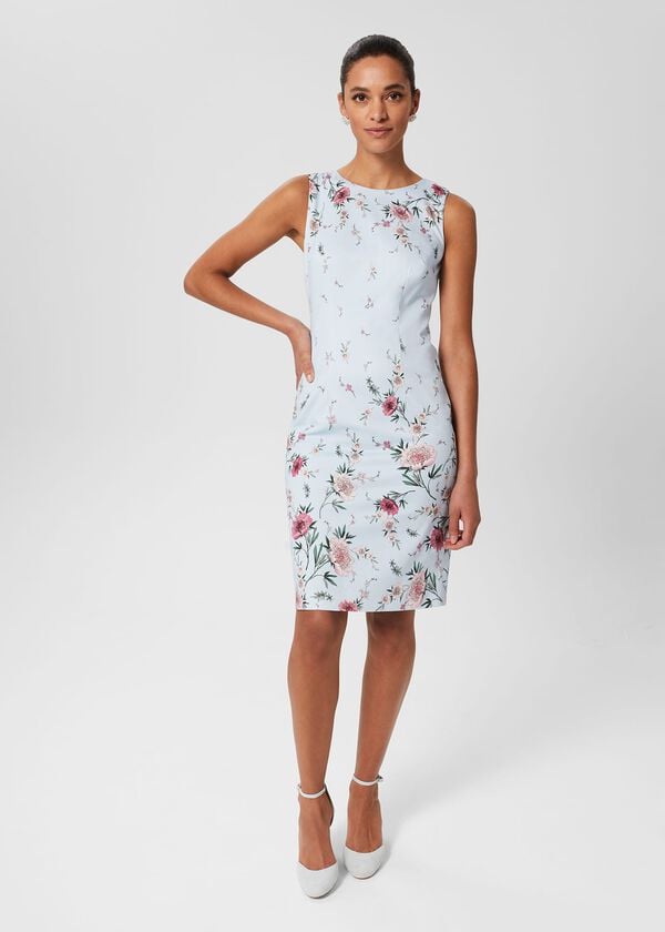 hobbs Fiona Floral Shift Dress Pale Blue Multi