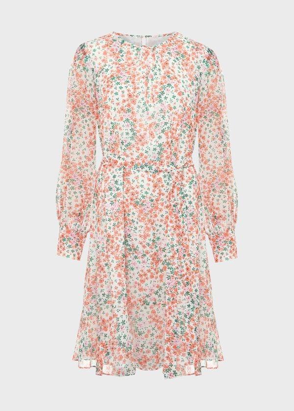 Hobbs Frances Dress Ivory Multi