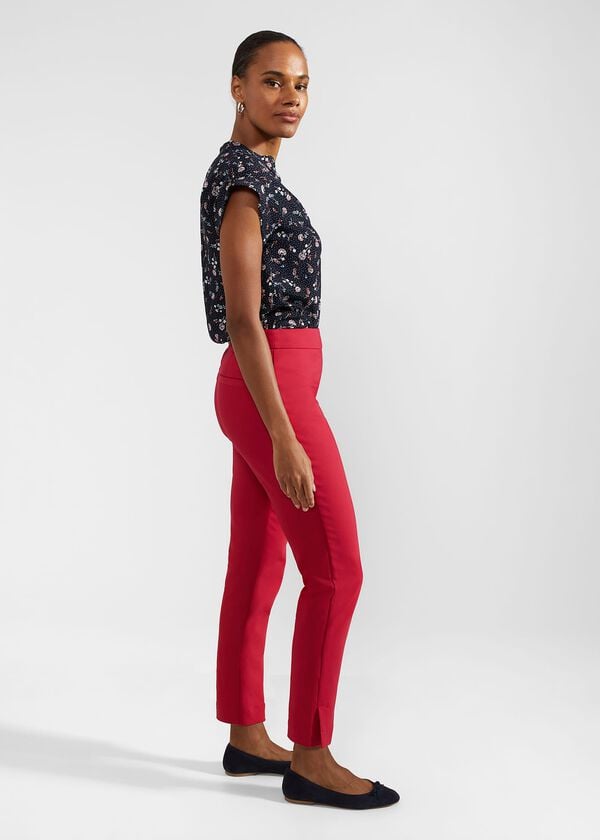 Hobbs Giselle Capri Pink