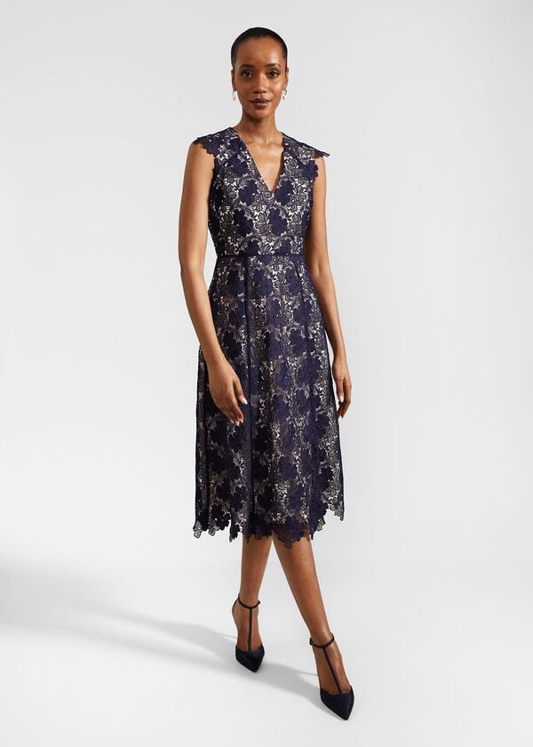 hobbs Hannah Lace Dress Navy Pale Pink