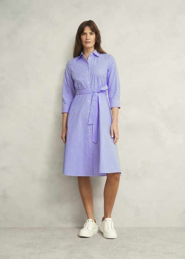 hobbs Harlow Dress Blue Ivory