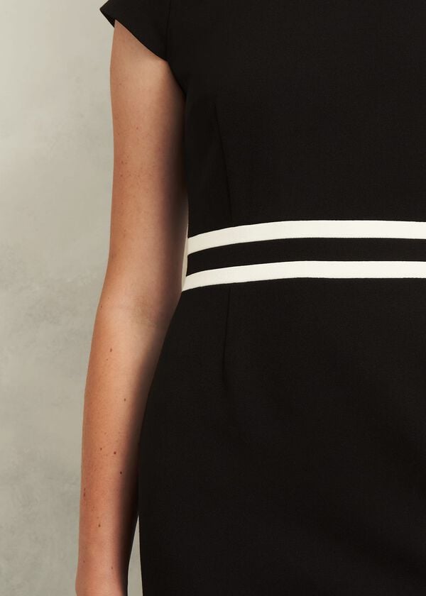 Hobbs Harmony Dress Black Ivory