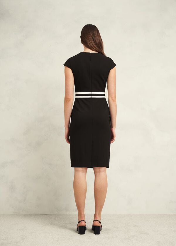 Hobbs Harmony Dress Black Ivory