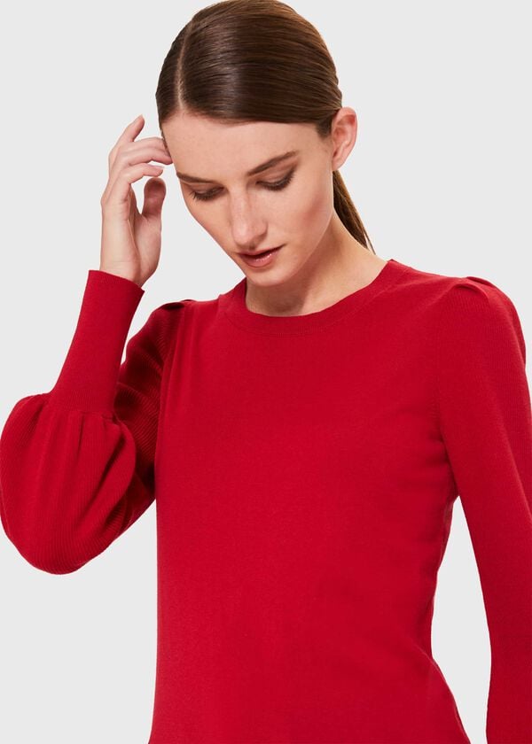 Hobbs Harriet Jumper Red