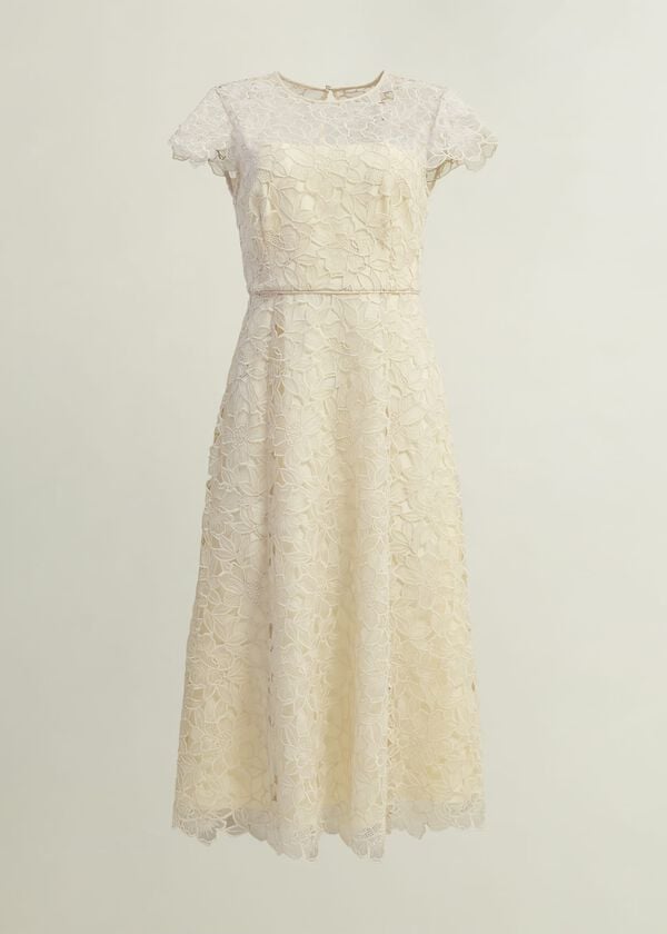 Hobbs Johanna Lace Dress Oyster