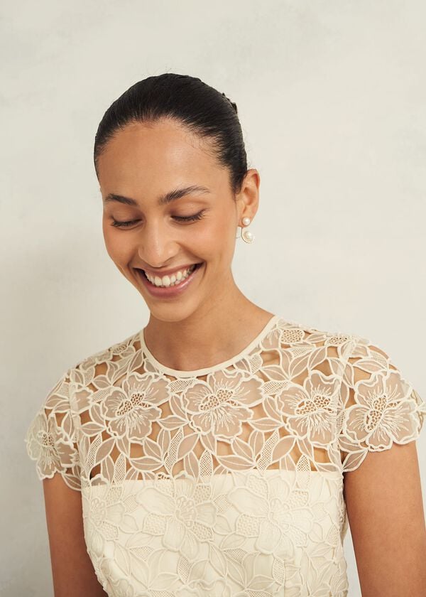 Hobbs Johanna Lace Dress Oyster