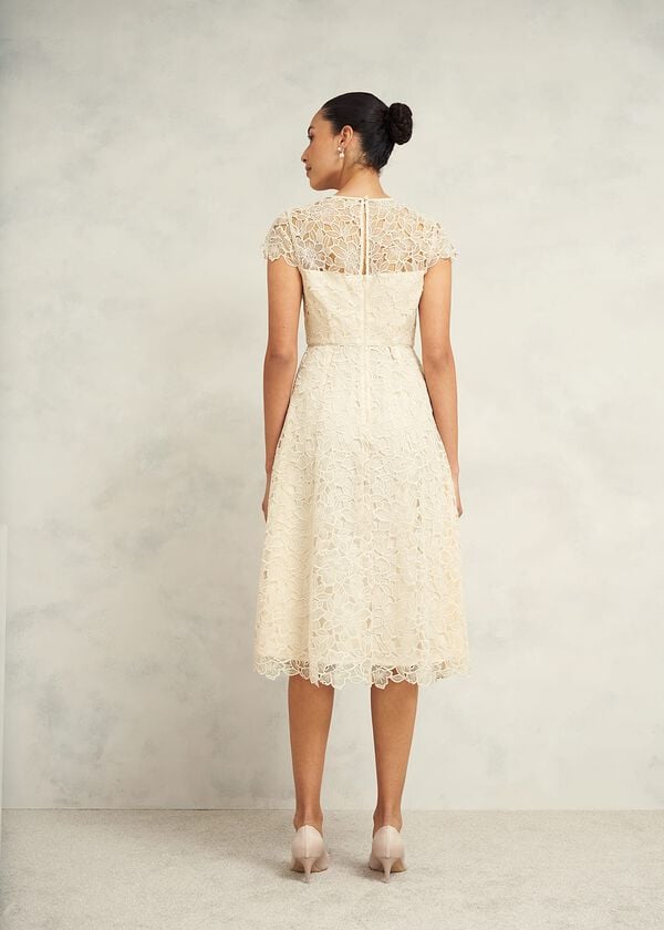 Hobbs Johanna Lace Dress Oyster