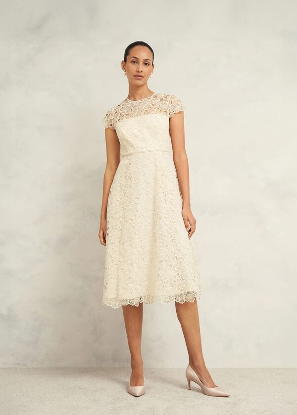 hobbs Johanna Lace Dress Oyster