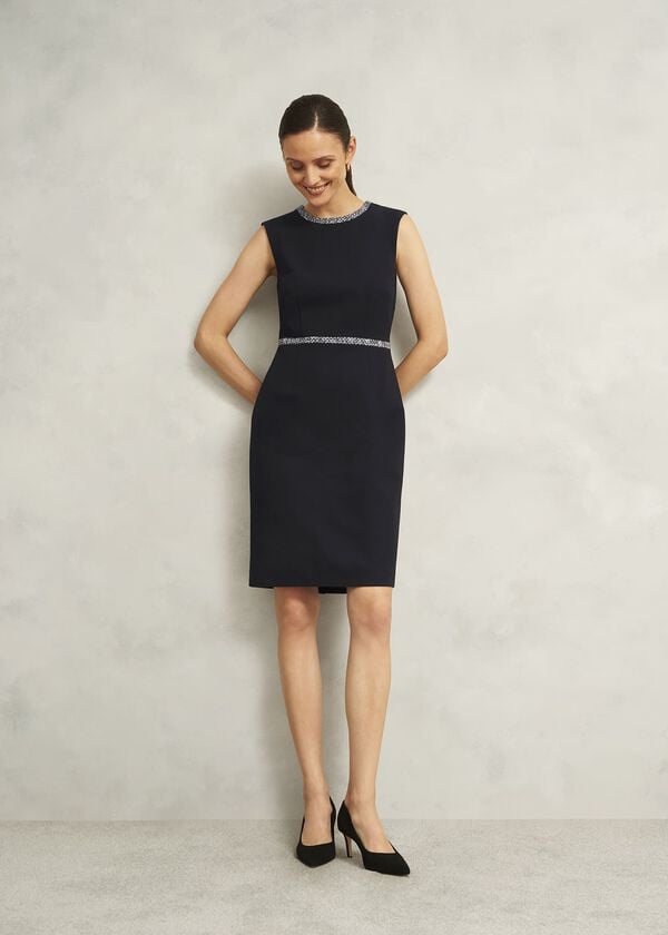 hobbs Joyce Dress Black