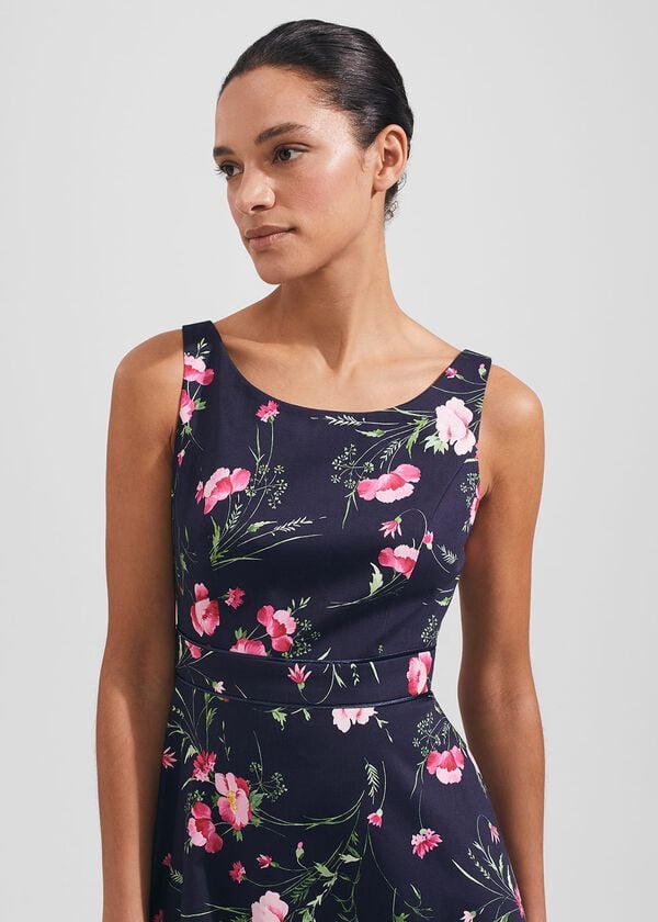Hobbs Kassandra Fit And Flare Dress Navy Multi