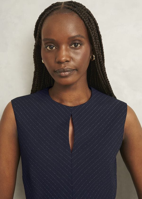 Hobbs Katelena Dress Navy Ivory