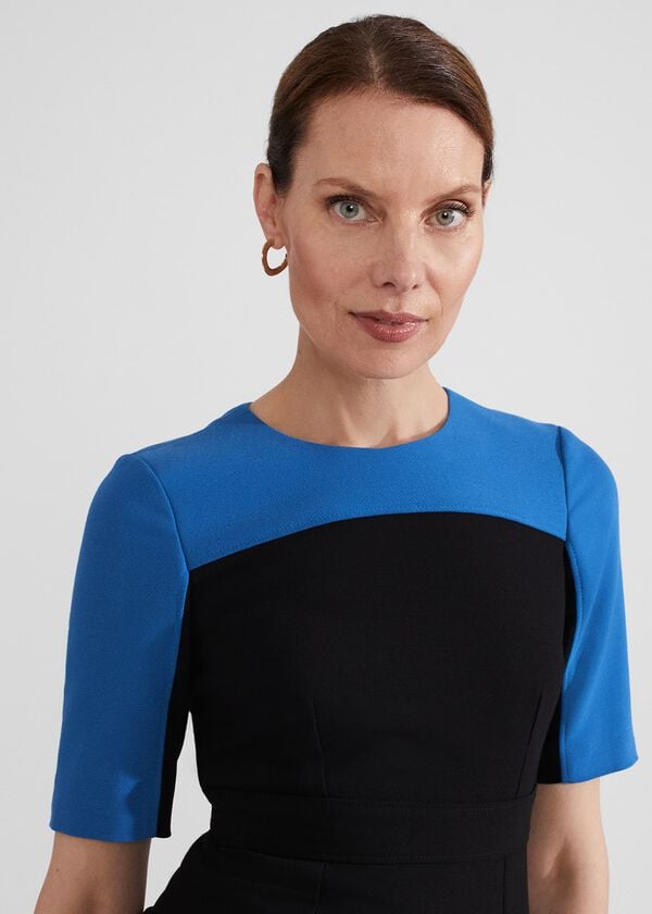 Hobbs Katya Dress Black Blue
