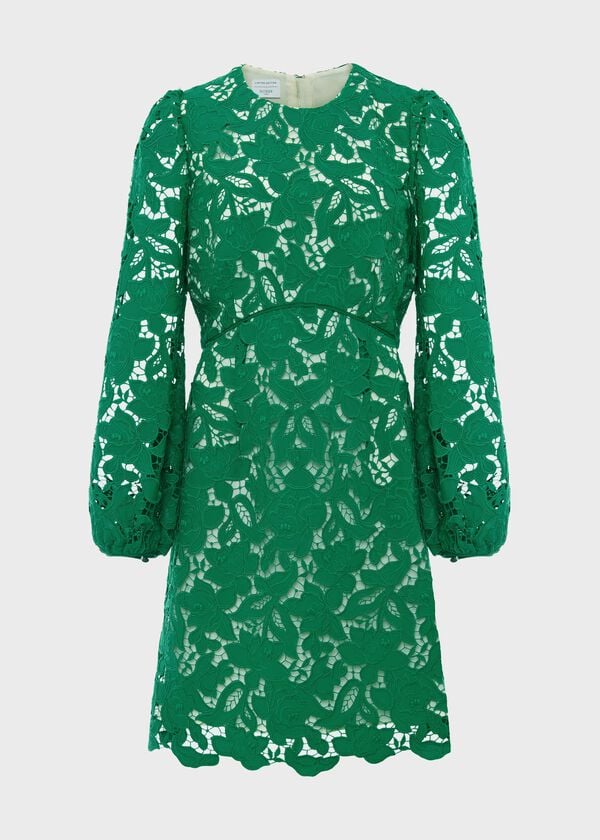 Hobbs Kew Lace Mini Dress Green Cream