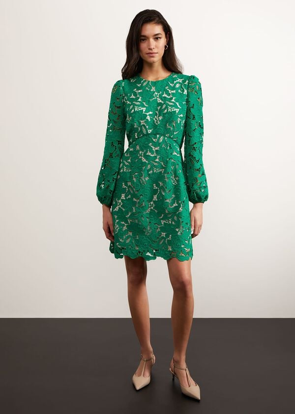 Hobbs Kew Lace Mini Dress Green Cream
