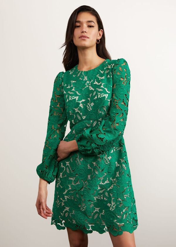 hobbs Kew Lace Mini Dress Green Cream