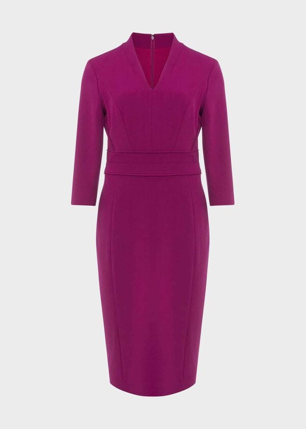 Hobbs Kim Dress Bright Plum