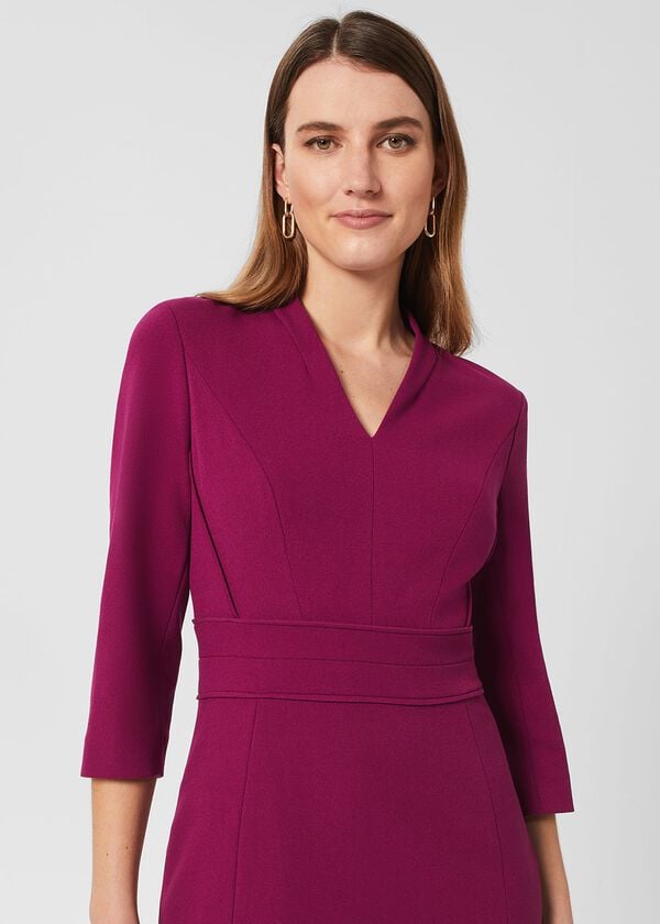 Hobbs Kim Dress Bright Plum