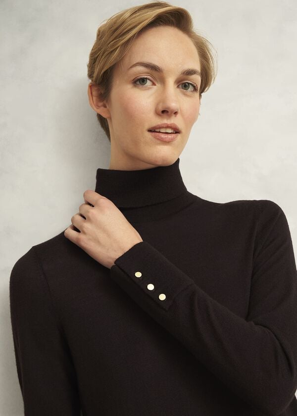 Hobbs Lara Merino Rollneck Jumper Alder Brown