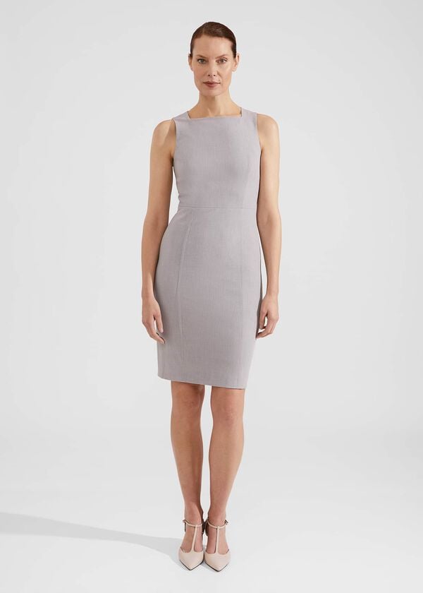 hobbs Lauren Dress Pale Grey