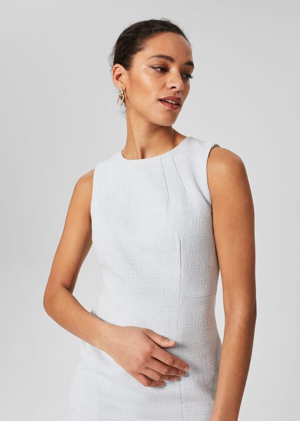 Hobbs Layla Shift Dress Pale Blue
