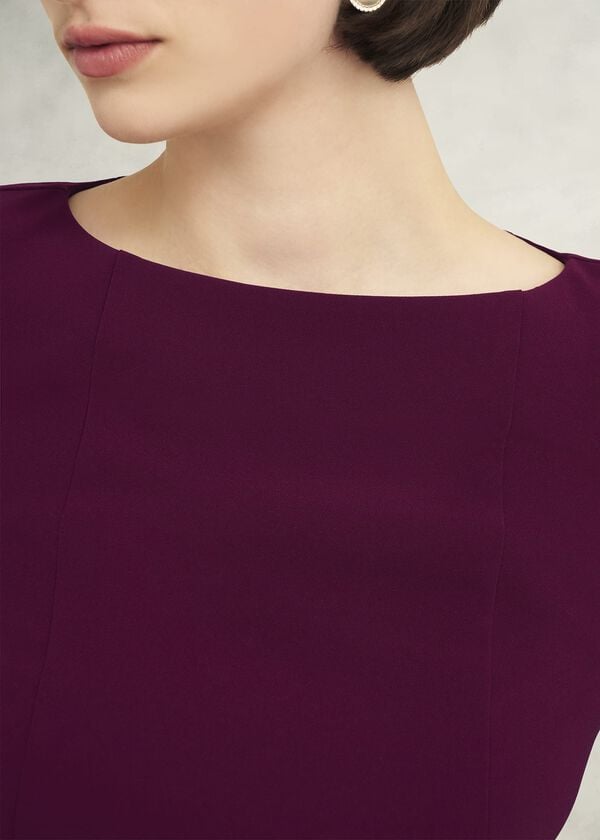 Hobbs Leonora Dress Warm Plum
