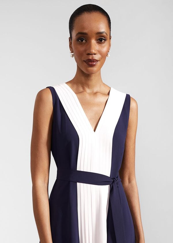 Hobbs Lila Pleated Midi Dress Navy Pale Pink