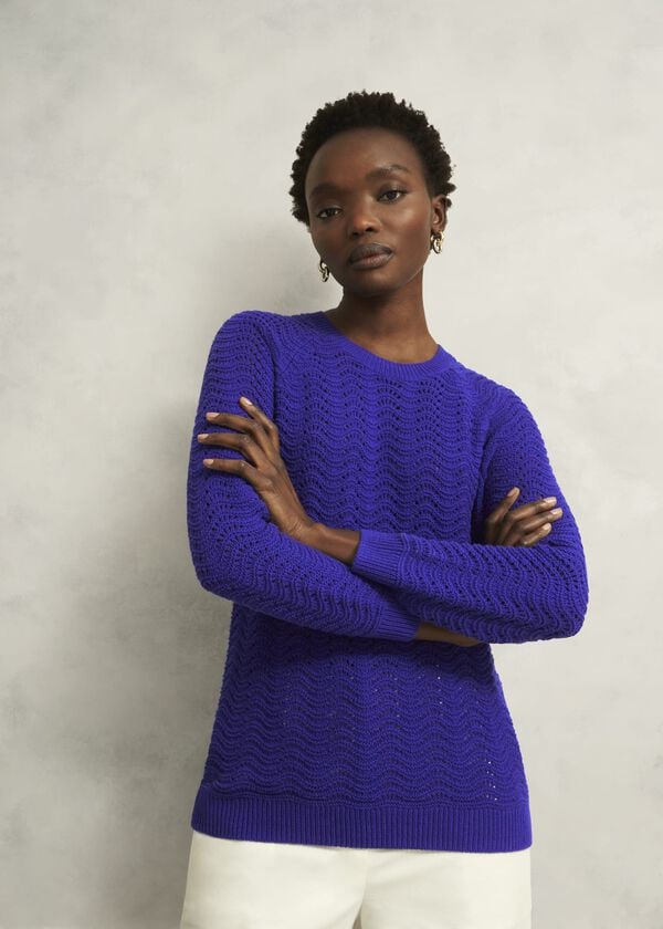 hobbs Lulu Cotton Jumper Cobalt Blue