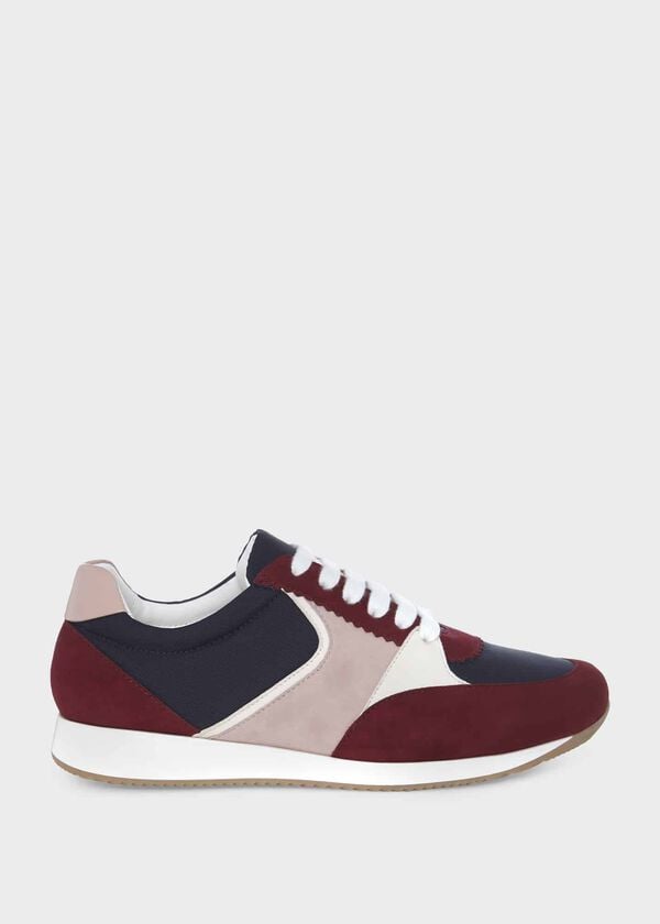 hobbs Mara Trainer Burgundy