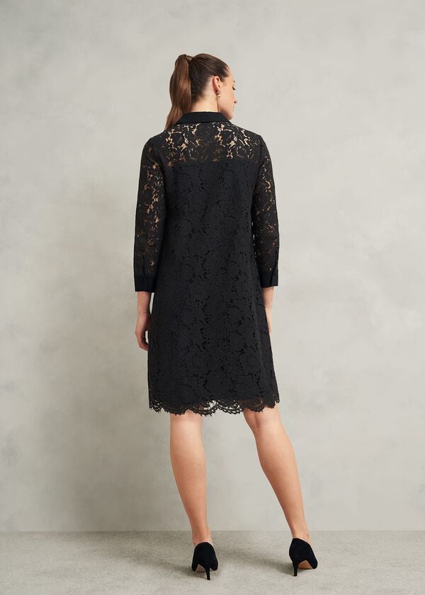 Hobbs Marciella Lace Dress Black
