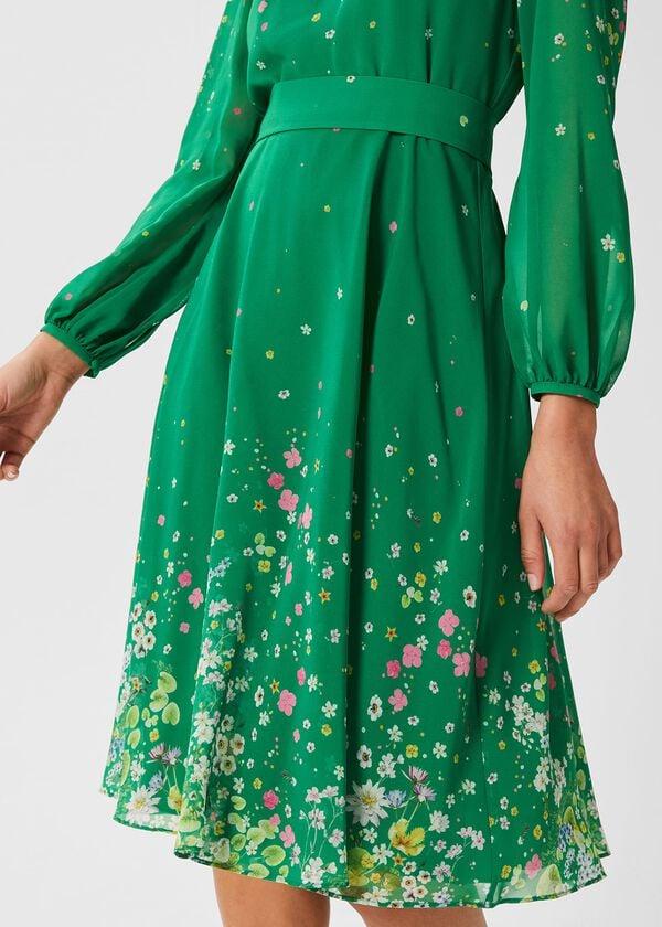 Hobbs Maria Floral Fit And Flare Dress Green Multi