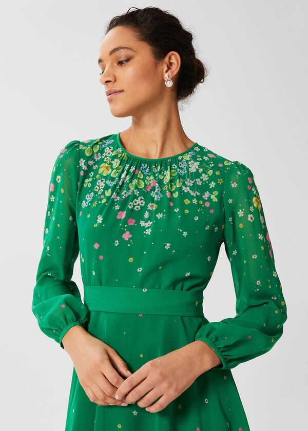 Hobbs Maria Floral Fit And Flare Dress Green Multi