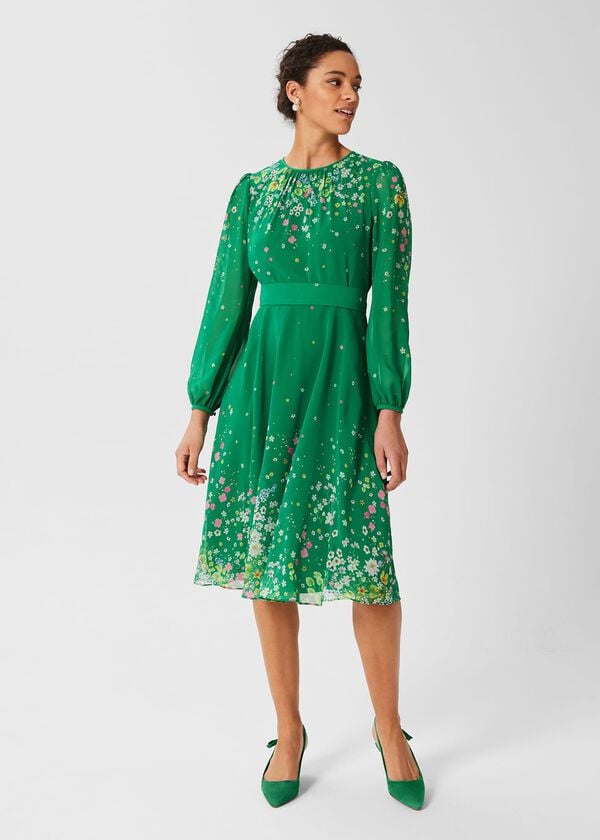 hobbs Maria Floral Fit And Flare Dress Green Multi