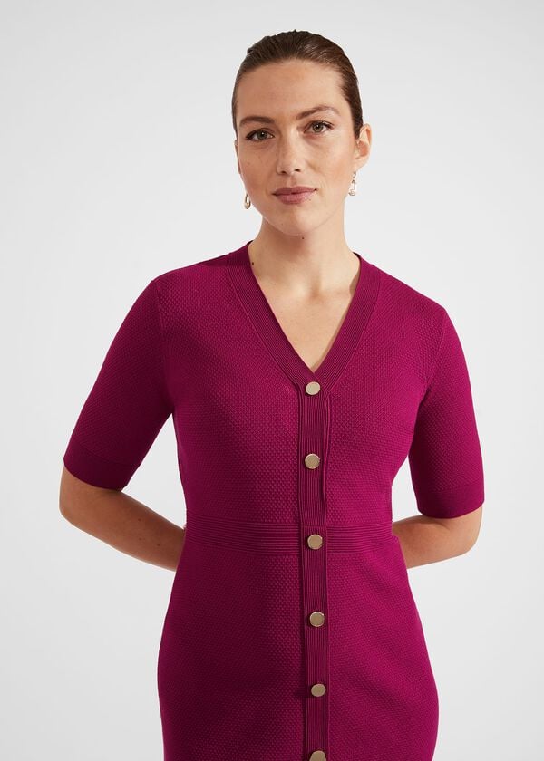 Hobbs Marianne Dress Bramble Purple