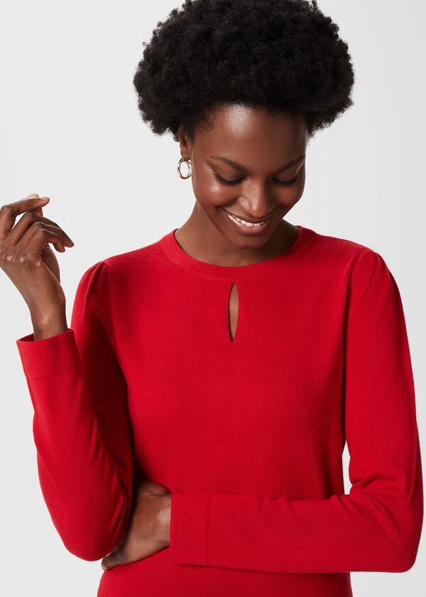 Hobbs Marlena Jumper Cherry Red