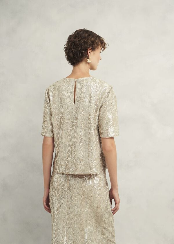 Hobbs Marlowe Sequin Top Silver