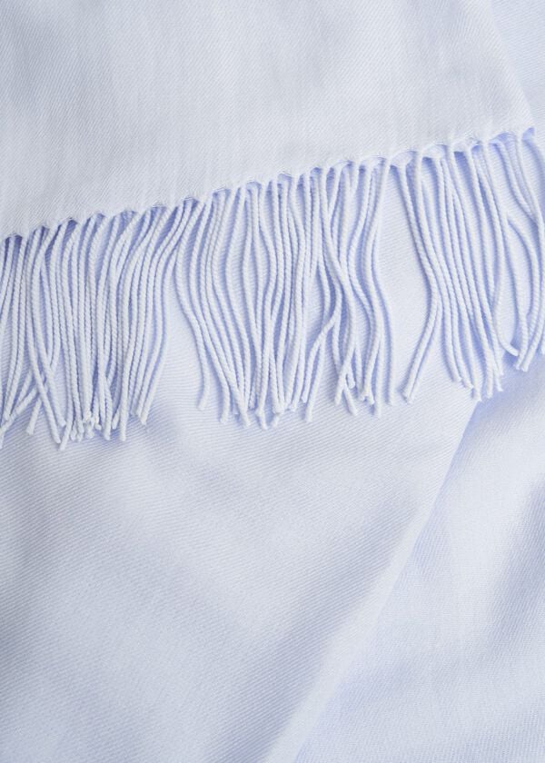 Hobbs Matilda Scarf Pale Blue