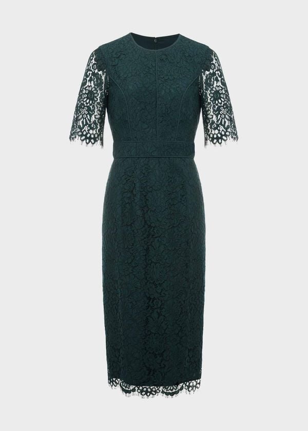 Hobbs Mireya Lace Shift Dress Evergreen