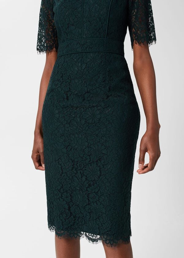 Hobbs Mireya Lace Shift Dress Evergreen