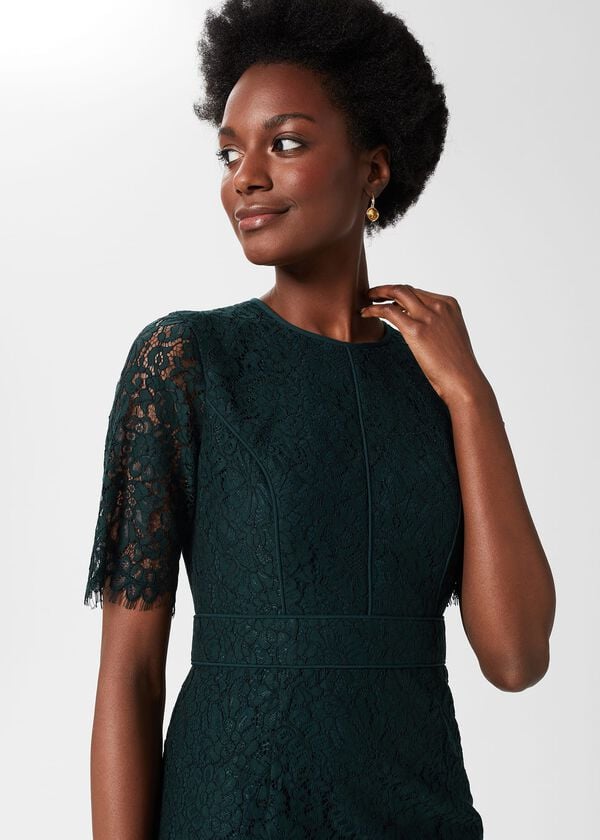 Hobbs Mireya Lace Shift Dress Evergreen