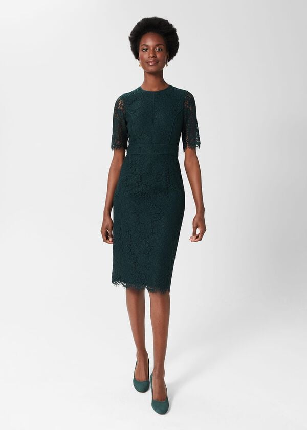 hobbs Mireya Lace Shift Dress Evergreen