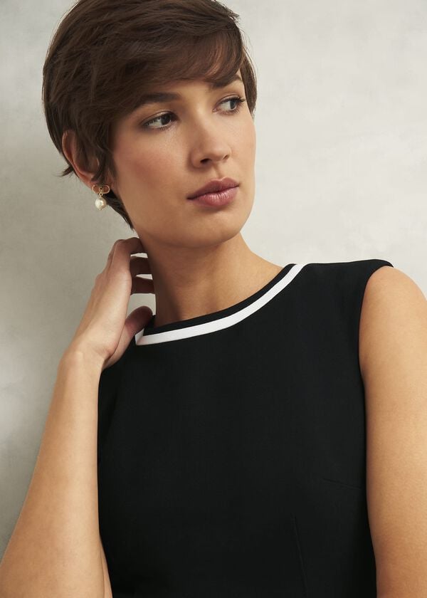 Hobbs Nory Dress Black Ivory