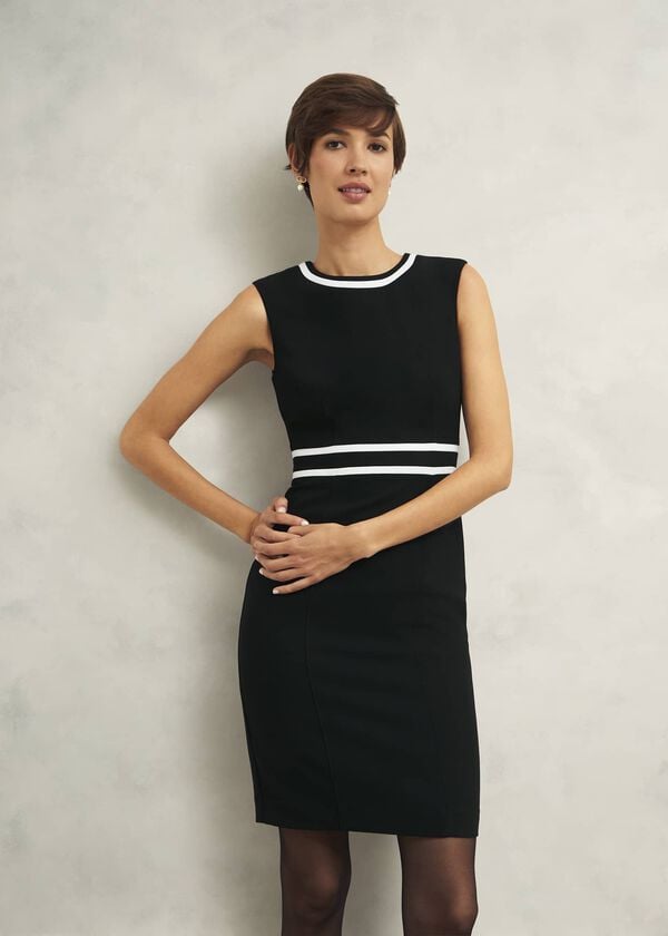 Hobbs Nory Dress Black Ivory