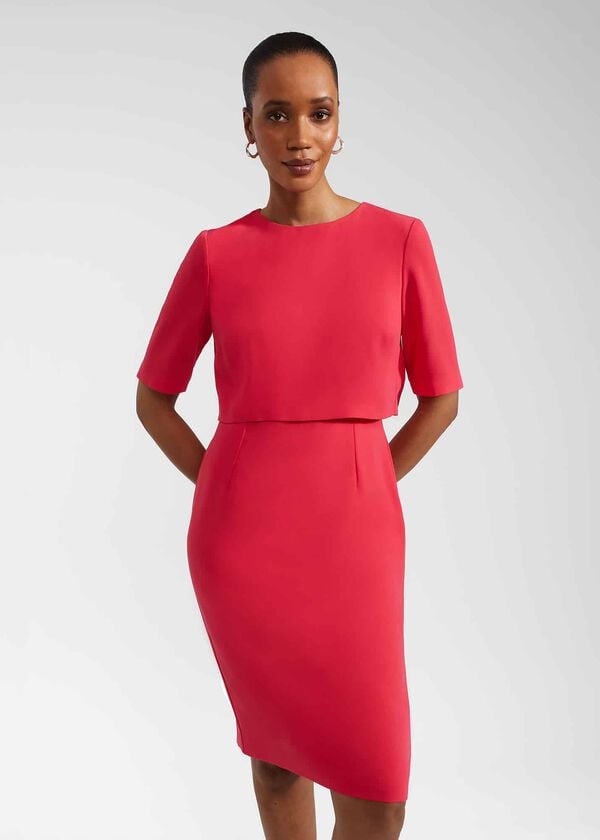 Hobbs Penelope Dress Rouge Pink